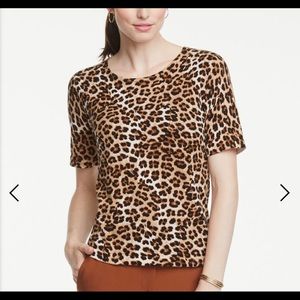 Ann Taylor Soft Leopard Sweater Top size Large